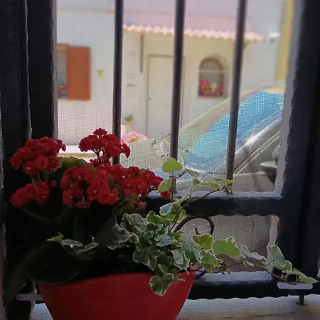 House Apartament